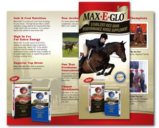 graphic design, print design & trifold brochure design