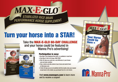 graphic design - promotional display design