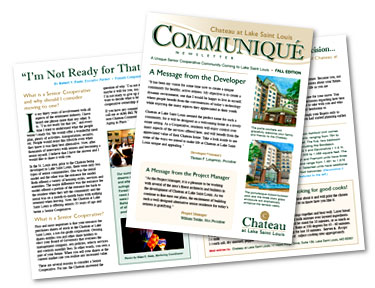 graphic design st. louis newsletter
