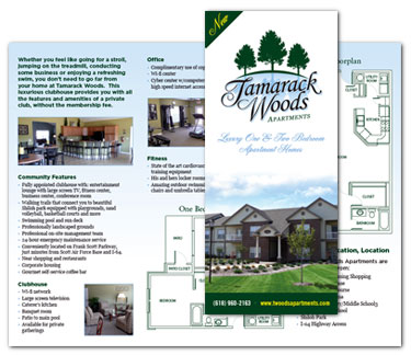 graphic design - trifold brochure design