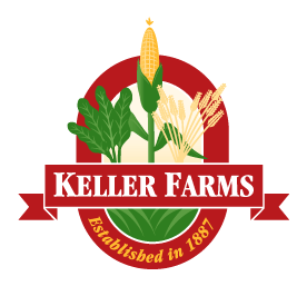 logo design option 1