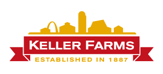 logo design option 2