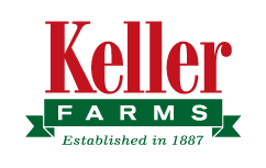 logo design option 3