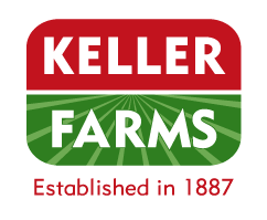 logo design option 4