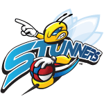 Logo Design Stunners