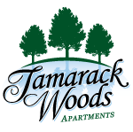 Logo Design Saint Louis