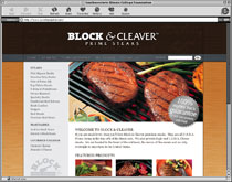 web design St. Louis MO retail