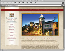 web design St. Louis Metro East Illinois