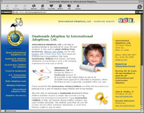 web design sample 5