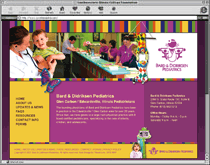 web design Edwardsville Illinois