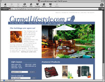 web design sample 9