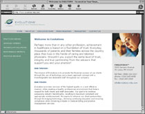 web design sample 13