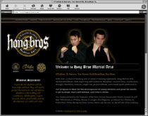 web design sample 15