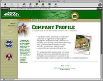 web design sample 17
