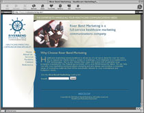 web design sample 18