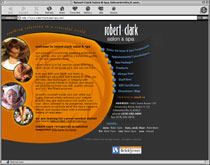 web design sample 19