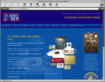 web design sample 25