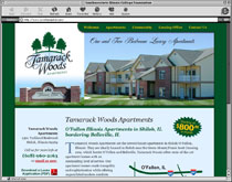 web design sample 5