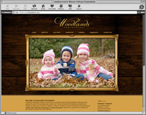 metro east st louis web design photography
