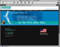 web design sample 23